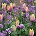 Edith Bergmann - Facebook