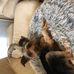 Edith Bernard - Facebook