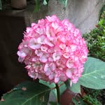 Edith_Bernhardt - @edithmariabernhardt - Instagram