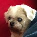 Edith Bernhardt - Facebook