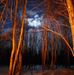 Edith Bernier - Facebook