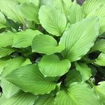 Edith Simard - @bernier.edith - Instagram