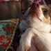 Edith Bird - Facebook