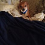 marian edith bird - @marianedithbird - Instagram
