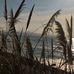 Edith Blanchard - Facebook