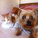 Edith Blanchard - @edithdiot - Instagram