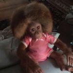 Edith Blanchard - @roamingstarter.12 - Instagram