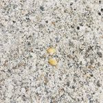 Edith Bloom - @edithbloom9 - Instagram