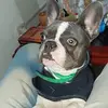 Edith Blue Depay - @edith.blue.depay - TikTok
