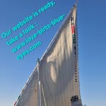 Hamada and Edith - @lovebirts.edithblueeyeboattrip - Instagram