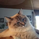 Edith Blumer - @edithblumer - Instagram