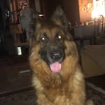 Edith Blumer - @blumeredith - Instagram