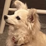 Edie Bly - Facebook