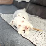 Boisvert Edith - @edith.boisvert - Instagram