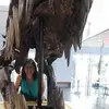 Gloria Edith Bolaños Urbano - @gloria.edith.bola6 - TikTok