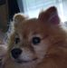 Edie Boles - Facebook
