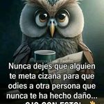 Edy Borrero - @edithborrero57 - Instagram