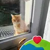edithbortot - @edithbortot - TikTok