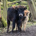 Edith Boyd - @edithboyd - Instagram