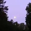Renee Edith Thomas Boyd - @renee.edith.thoma - TikTok