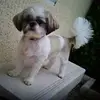 Edith Leroy-Boyer - @edithleroyboyer - TikTok