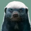 Phan Phước Vũ Long - @edithabradshaw - TikTok