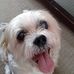 Edith Brennan - Facebook