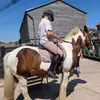 Edith 🐴🎀💗 - @edithbush0 - TikTok