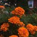 Edith Byers - Facebook