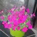 Edith Casas - Facebook