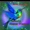 . - @bedithcasiqueroja - TikTok