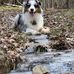 Edith Cassidy - Facebook