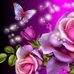 Edith Castaneda - Facebook