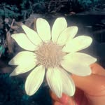 Edith carrera castrejon - @edithcarreracastrejon - Instagram
