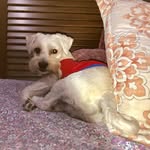 Edith Céspedes - @edith.cespedes.752 - Instagram