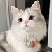 Edith Chang - Facebook
