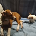 Edith Charles - @edithcharles71 - Instagram