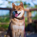 Edith Chiang - Facebook