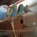 Edith Chinchilla - Facebook