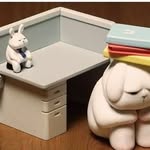 Edith Chou - @chouedith - Instagram