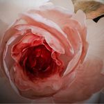Yutong Chow - @edithchow039 - Instagram