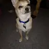 Edith Christensen - @edith.christensen4 - TikTok