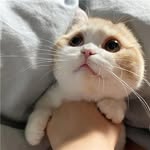 Edith Christian - @00pkqw3143 - Instagram