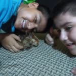 Edith Cipriano - @edith.cipriano.100 - Instagram