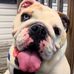 Edith Clark - Facebook