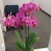 Edith Clay - Facebook