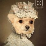 Edith & Clement Portrait Co. - @edith_and_clement - Instagram