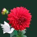 Edith Clevenger - Facebook
