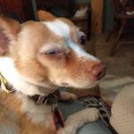 Edith Cline - @edith.cline.0518 - Instagram