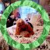 Edith Cline - Facebook